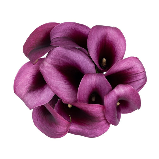 Lavender Mini Calla Lily Flower