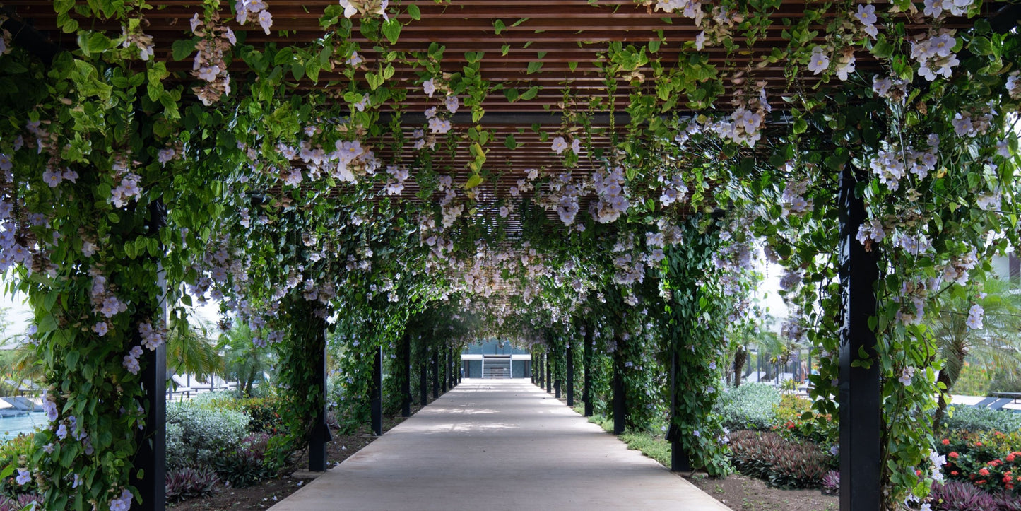 Live Aqua Punta Cana Destination Wedding Package