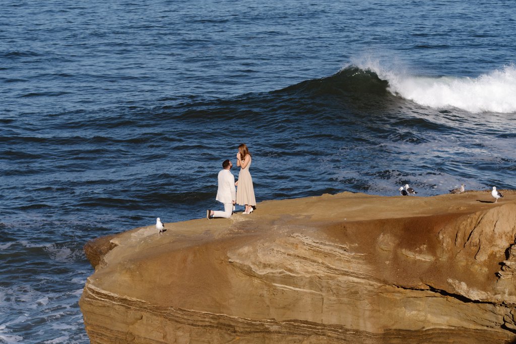 Liz in San Diego: Proposal / Engagement Photography