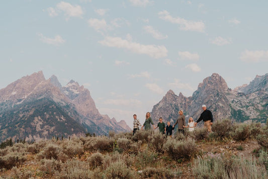 Jackson Hole: Proposal / Engagement Photography