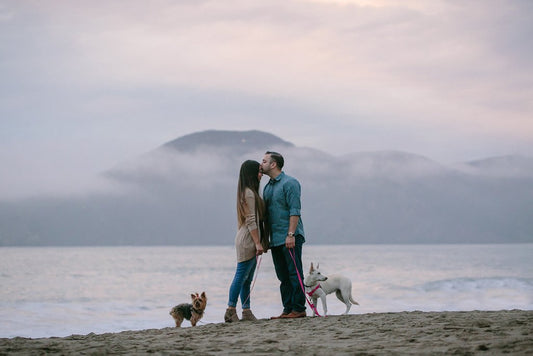Napa-Sonoma: Proposal / Engagement Photography