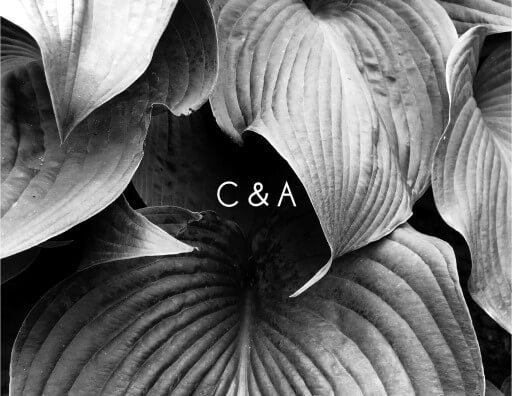 Modern Mode RSVP Cards by Shab M.