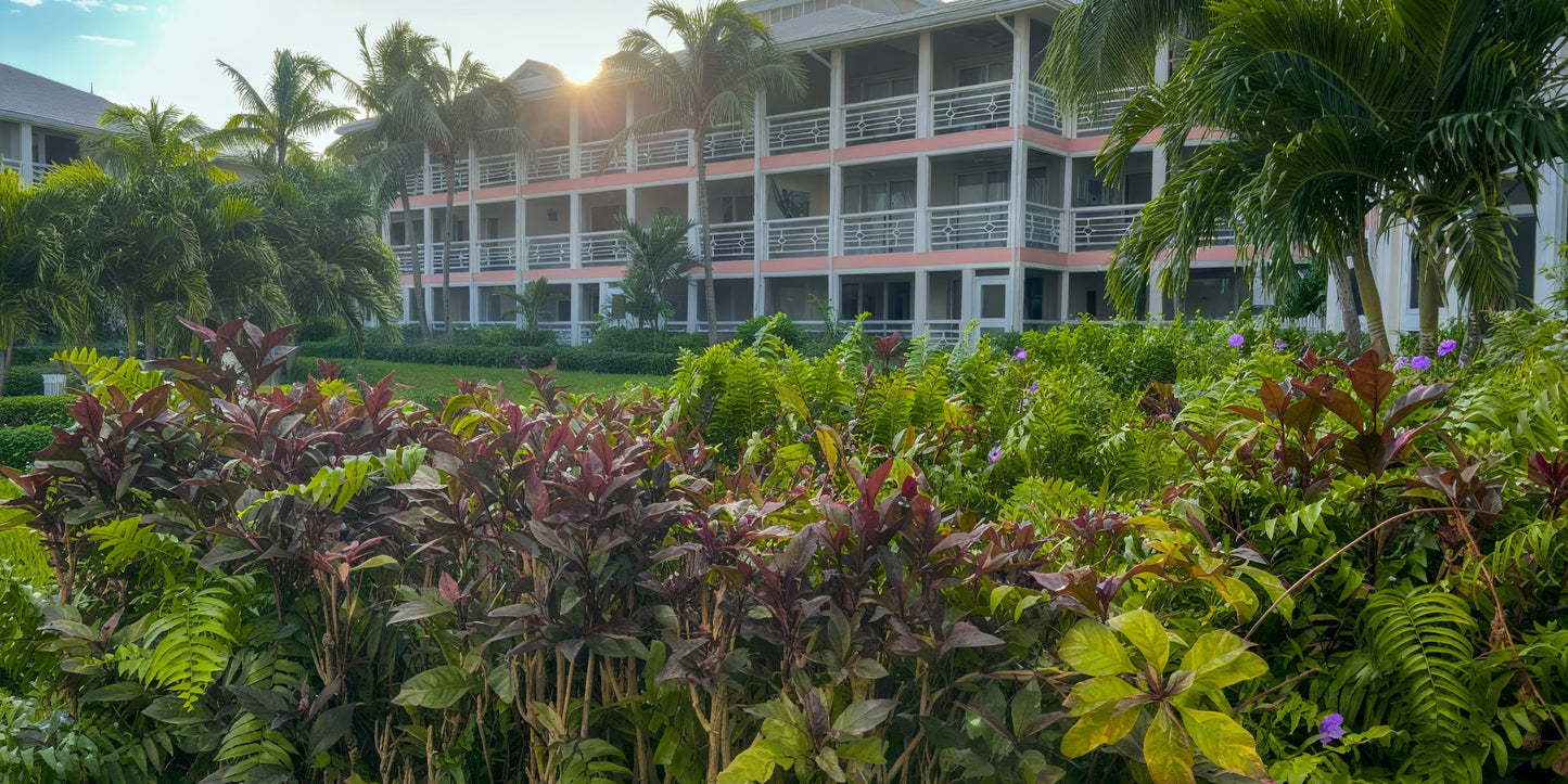 Ocean Club West Destination Wedding Package