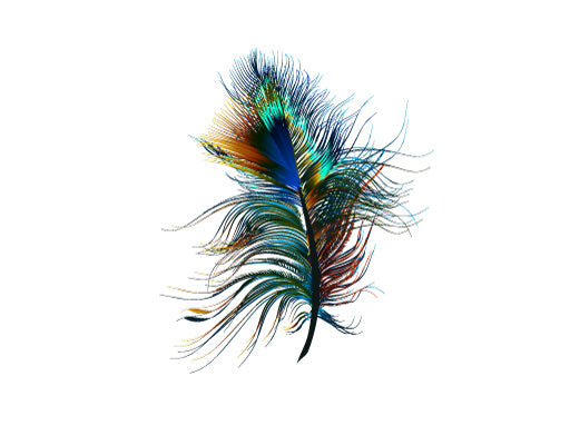 Peacock Blue RSVP Cards by Stella M.