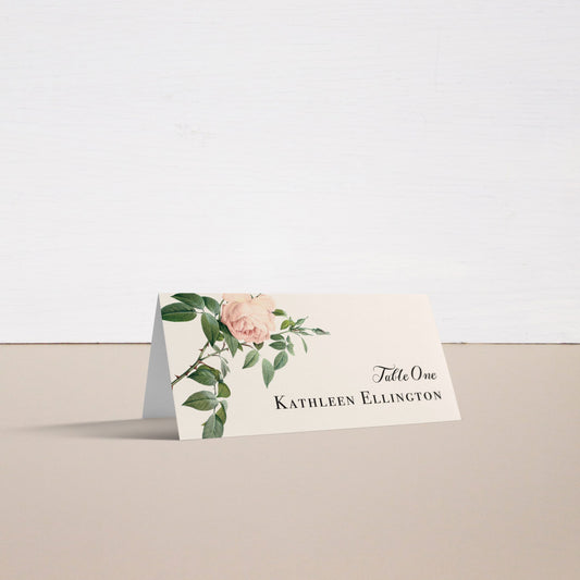 Ivory & Blush Place And Escort Cards