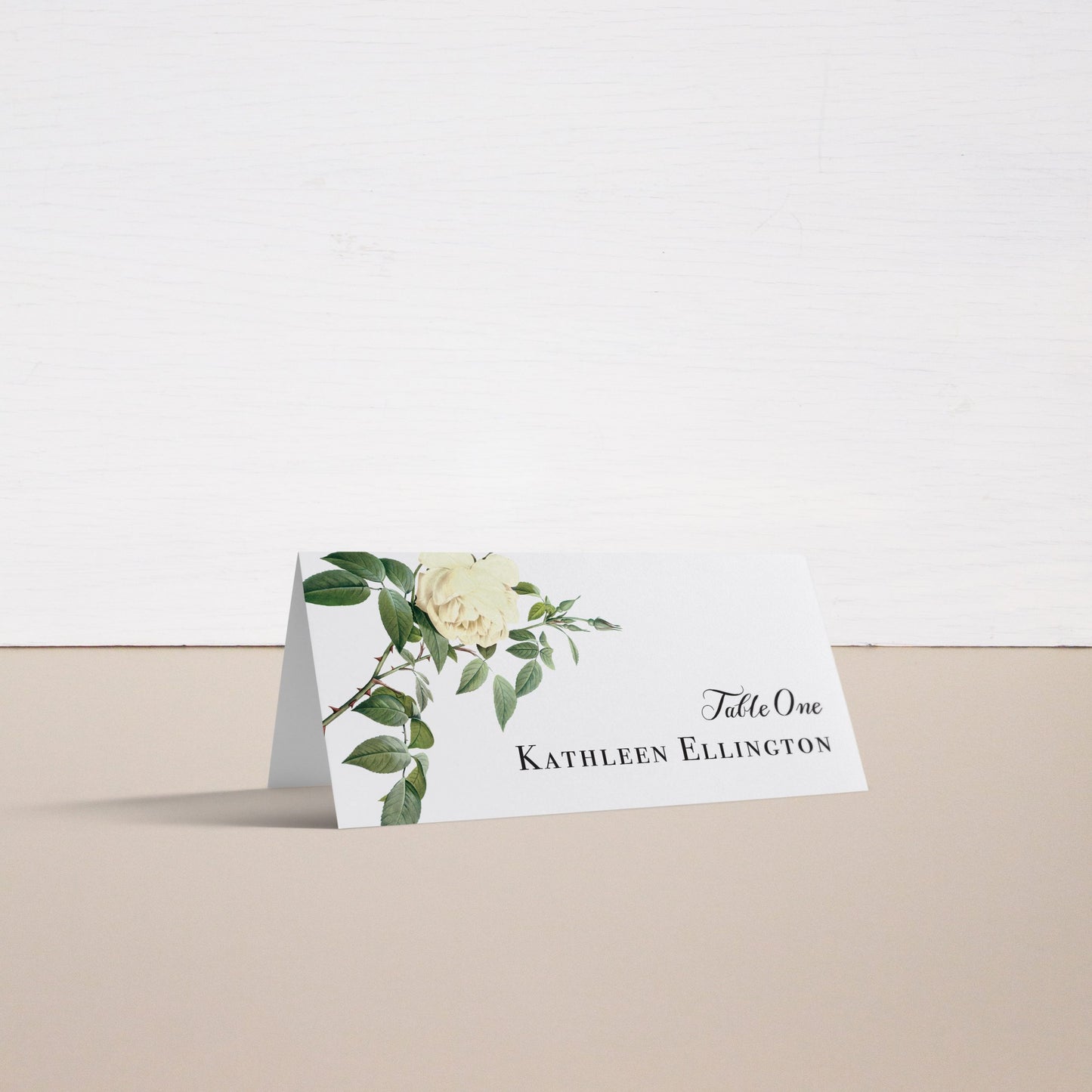 Ivory & White Place And Escort Cards