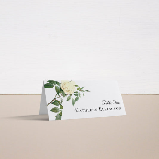 Ivory & White Place And Escort Cards