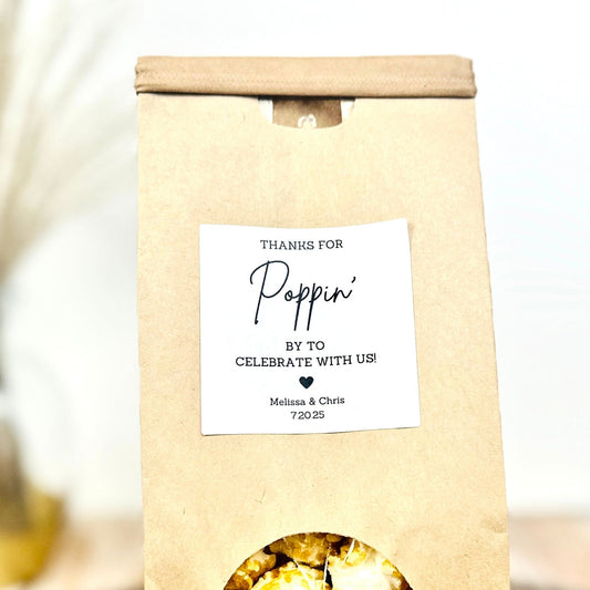 Pristine Popcorn Pouch