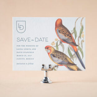 Ramona Save the Date Wedding Invitation Suite