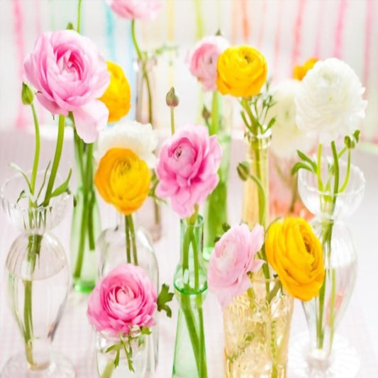 Ranunculus Flowers 120 Blooms Weekly Subscription