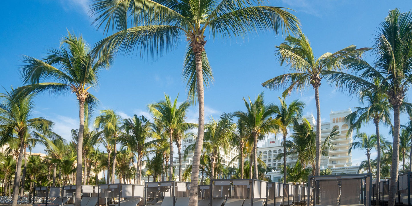 Hotel Riu Palace Pacifico Destination Wedding Package