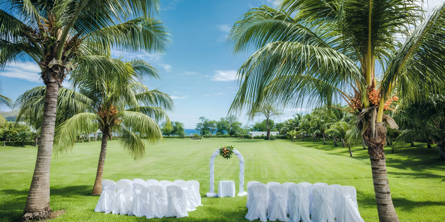 Hotel Riu Palace Costa Rica Destination Wedding Package