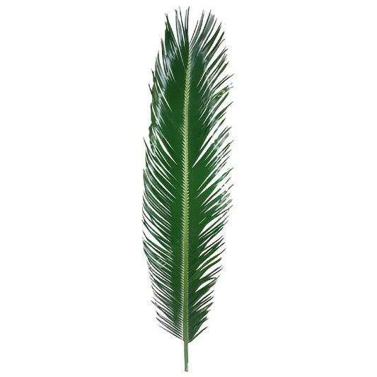 Sago Palm