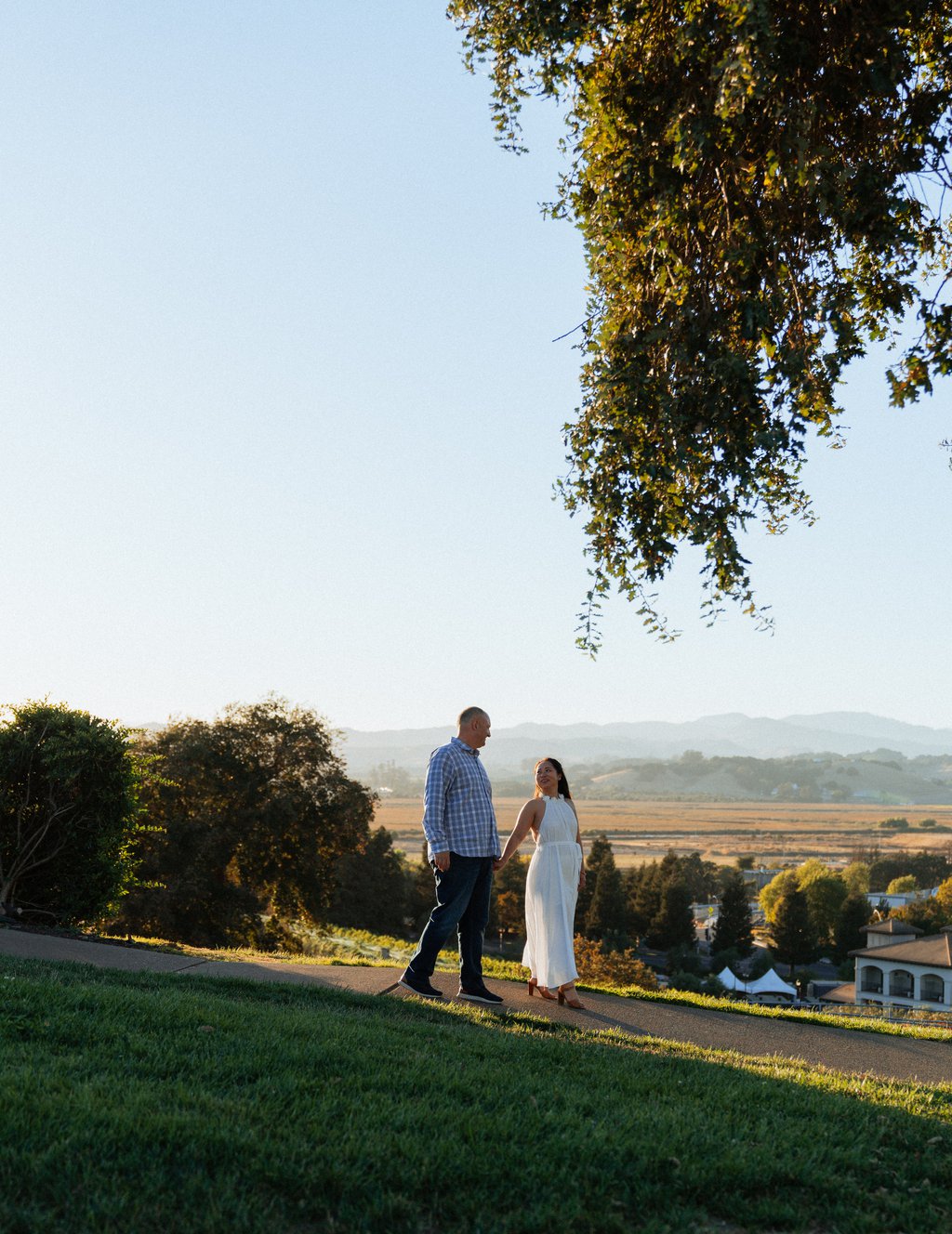 Sandro in Napa-Sonoma: Proposal / Engagement Photography