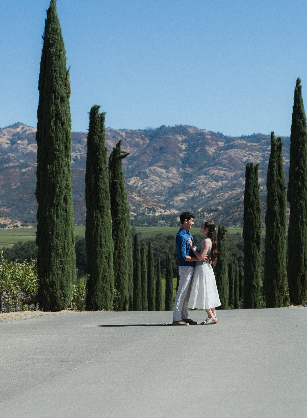 Sandro in Napa-Sonoma: Proposal / Engagement Photography