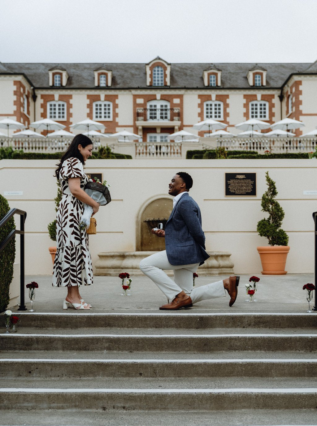 Sandro in Napa-Sonoma: Proposal / Engagement Photography