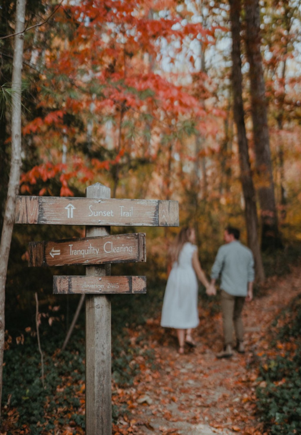 Savannah in Asheville: Proposal / Engagement Photography