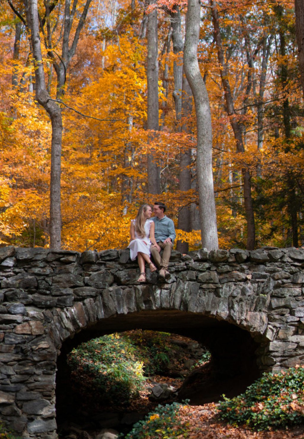 Savannah in Asheville: Proposal / Engagement Photography