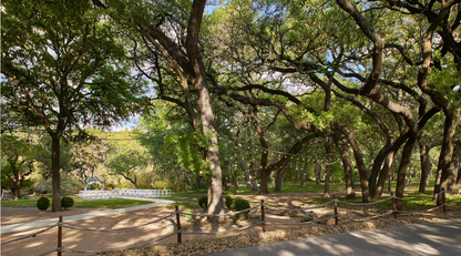 Scenic Springs Wedding Package