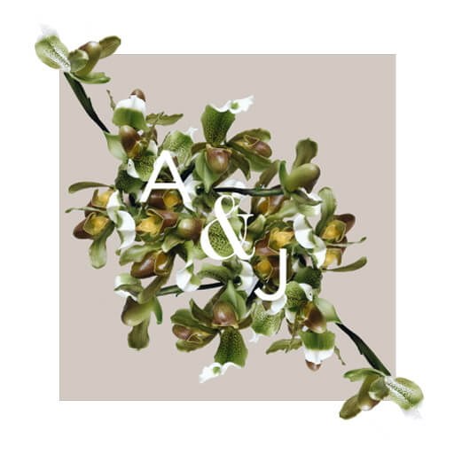 Sophia Kaplan Wedding Invitations by Sophia K.