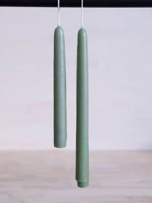 Taper Candles Succulent