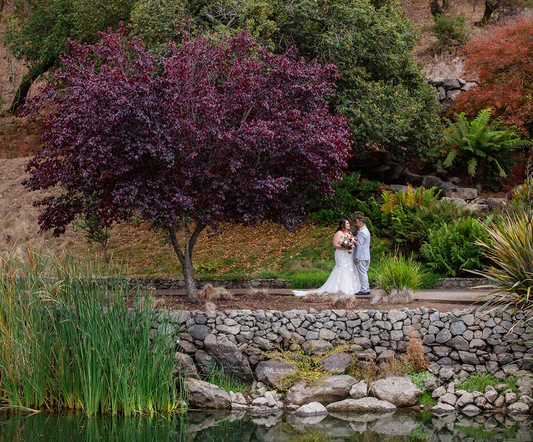 Country Estate Elite Wedding Package - Marin County, California