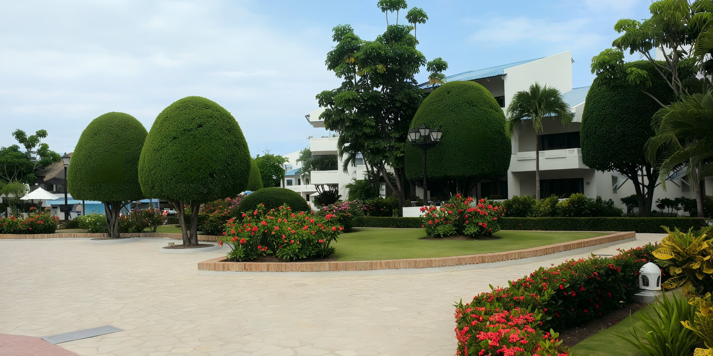 Sunscape Puerto Plata Destination Wedding Package