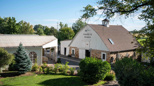 Whimsical Coloring Premier Wedding Package - Fort Collins, Colorado