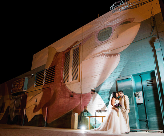 Contemporary Elegance Premier Wedding Package - Mesa, Arizona
