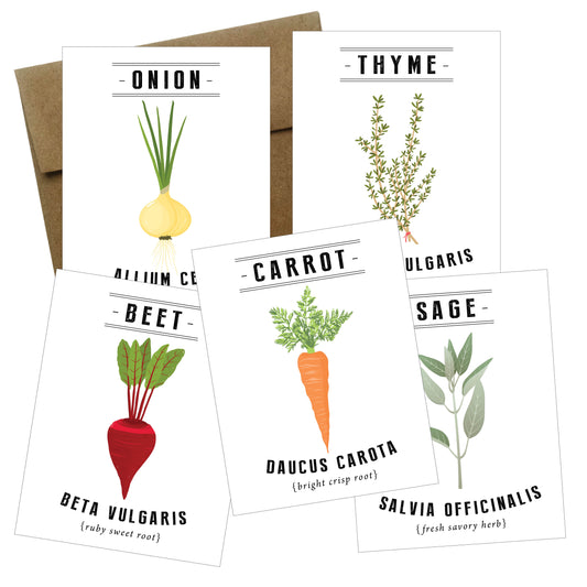 Botanical Veggie and Herb Cards - 5 pack