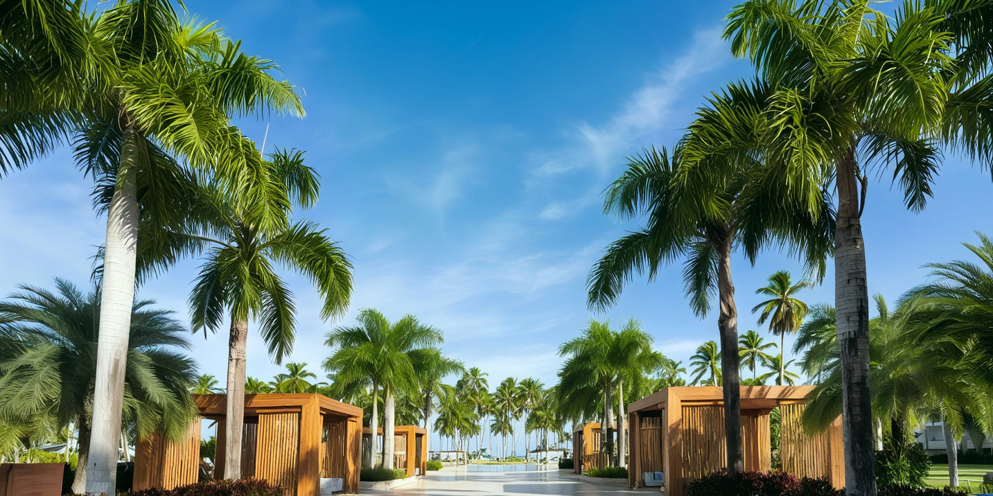 Viva V Samana by Wyndham Destination Wedding Package