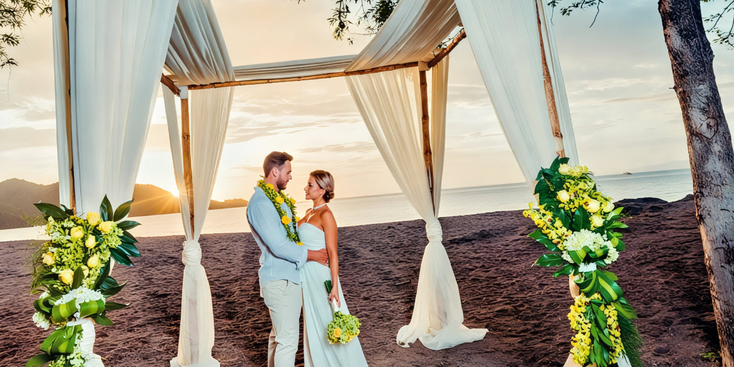 Hotel Riu Guanacaste Destination Wedding Package