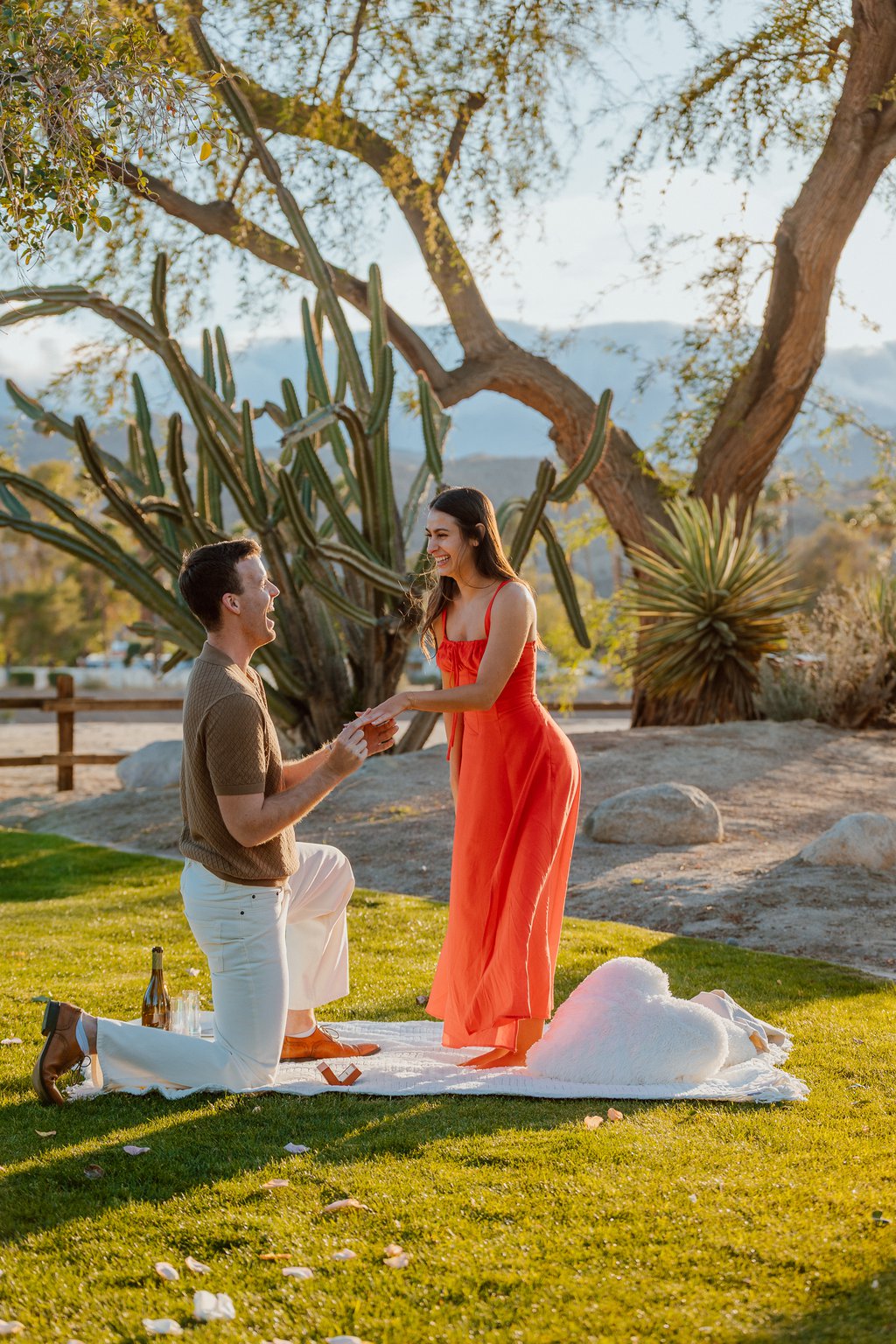 Proposal / Engagement Photography in Palm Desert