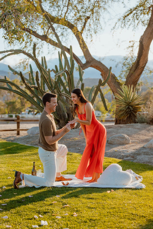 Palm Springs: Proposal / Engagement Photography